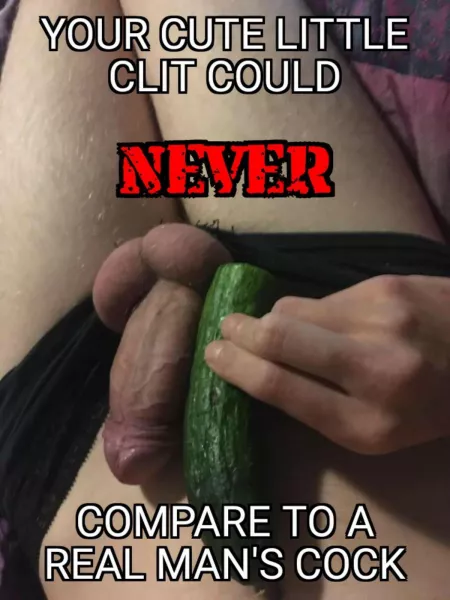 (oc) by emilycumbunny