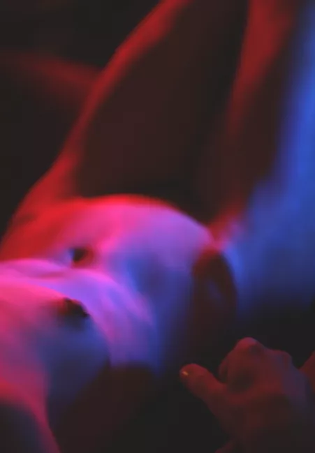 [oc] do androids dream of electric sheep? by 420meatsack