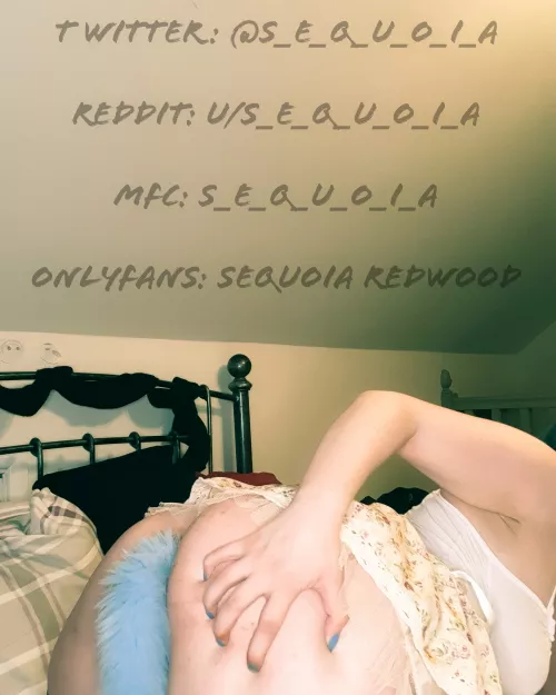 [OC F22] Is this allowed here? >/////> by S_e_q_u_o_i_a