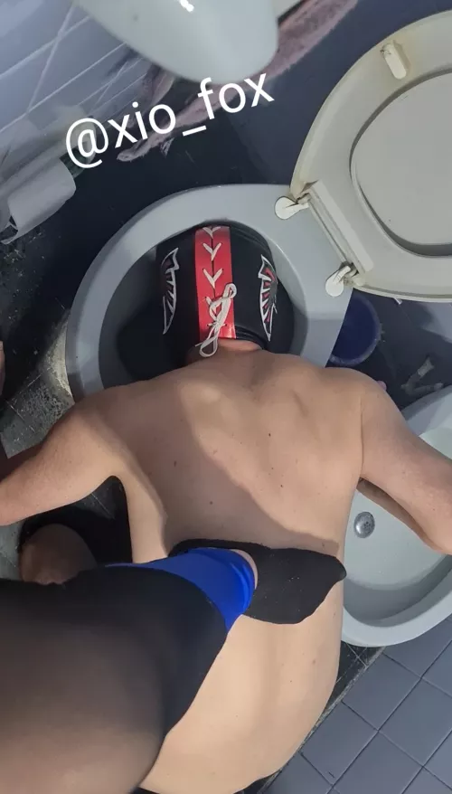 [OC] I highly recommend this toilet cleaning service, it's quite effective 🤣 by XioFox