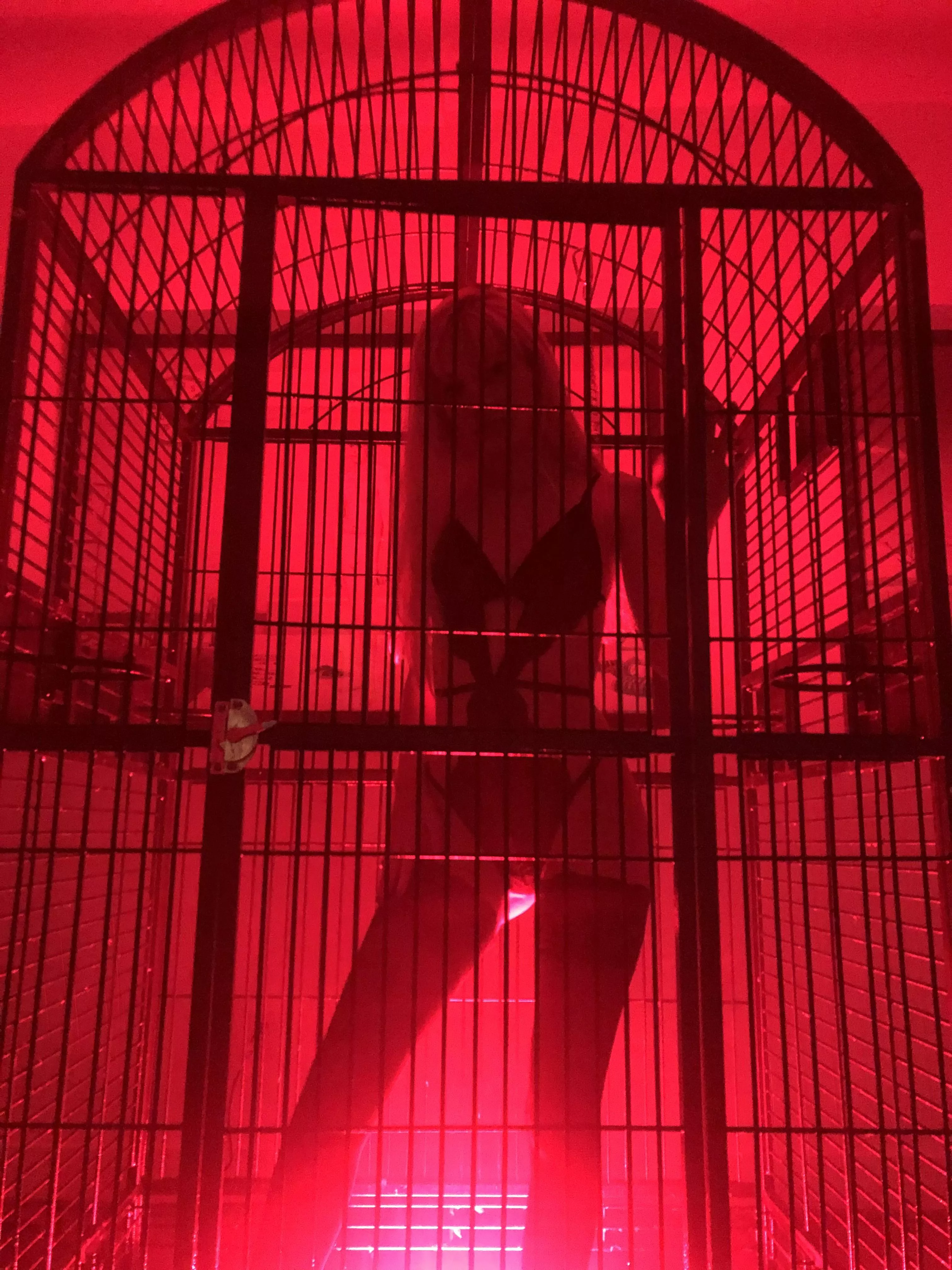 [OC] just showing you around your new room 😈 posted by iluvlucy69