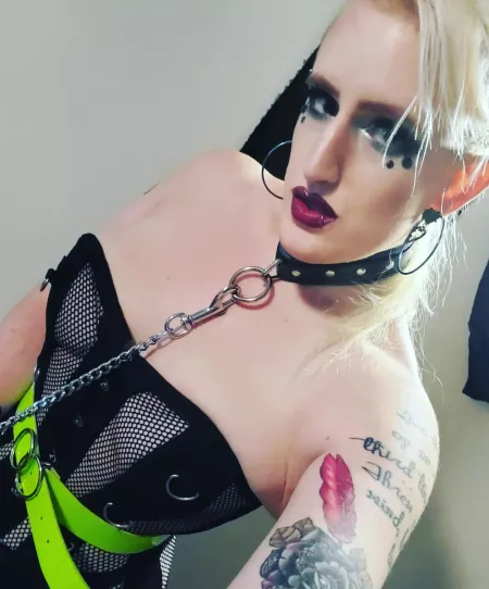 [OC] Keep me on a short leash ⛓️ by candi-kitten