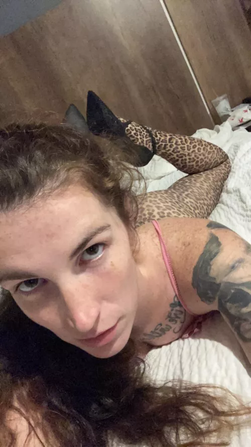 (OC) time to serve beta bitches by princessbrazda