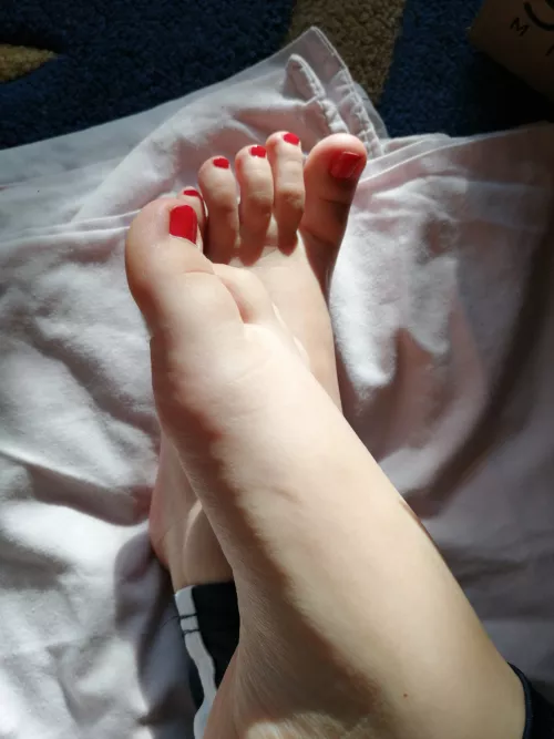 [OC] Where do you want me to put them? by YoursAndrea