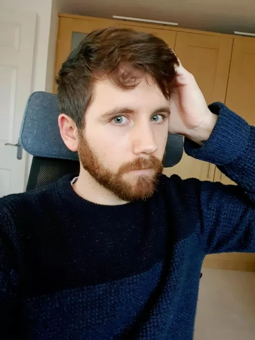 Officially back into Planet Coaster :3 anyone wanna chat? by PassengerOk3837