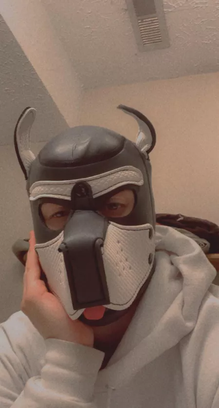 Oh hai! 🥰 by TrivoltWolf