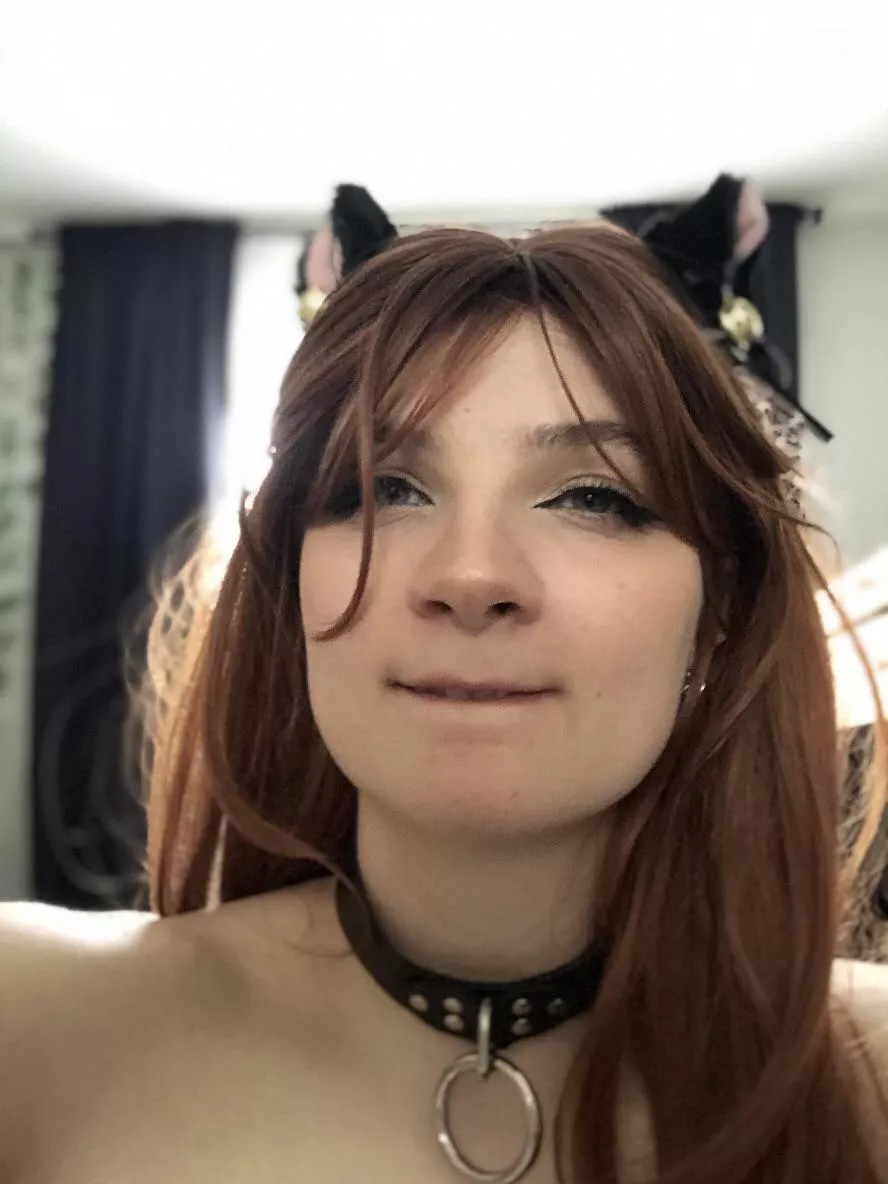 Oh hey 👋 posted by Bizzouboy