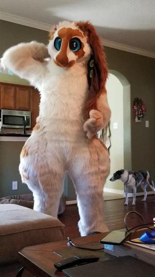 Oh, hi there!~ by Zugzwang5