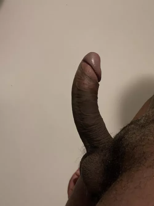 Oh it’s hump day? by Bigjerker27