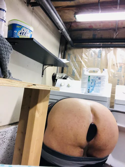 Oh no! I’m stuck in the dryer! Should u/LOOKATTH1SGRAPH get me out or should she leave me here a little while longer? by CanterSurrogate