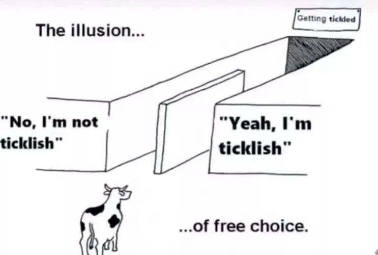 Oh no, lees totally have a choice. 🙄 by TickleMaid