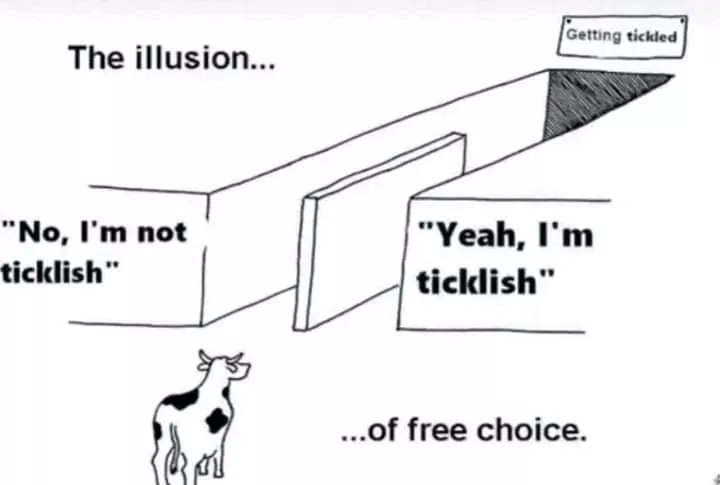 Oh no, lees totally have a choice. 🙄 posted by TickleMaid