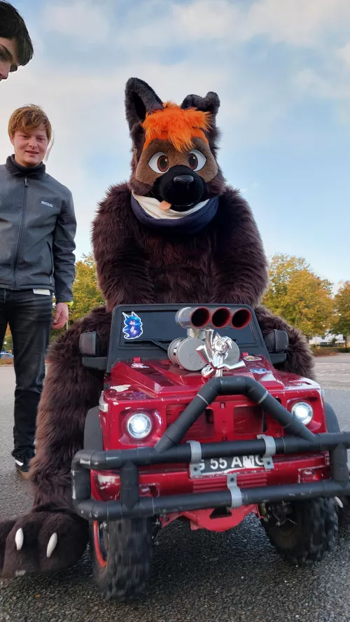 🚗 Oh no, where the dog driving? by GrangerTheDog