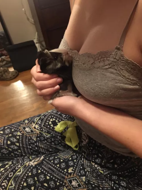 Oh, to be a guinea pig… by Devil_Dick666