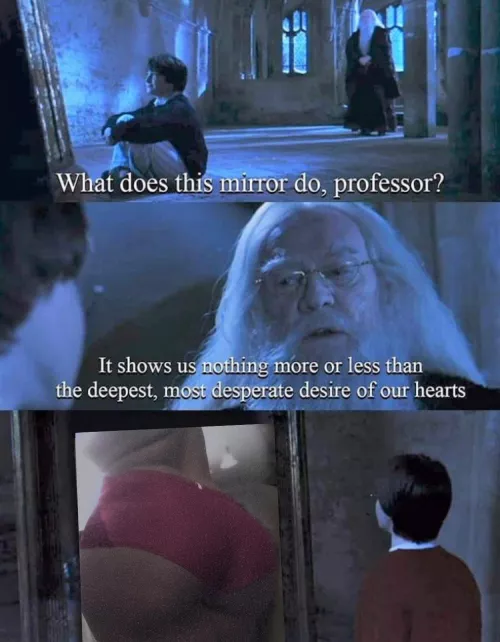 Oh yea I made this Harry Potter meme just to piss off JKRowling since she insists on being extremely transphobic!😈 by LunaWynn