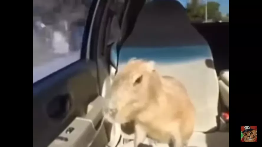 Oh yeah! by Sab3rson