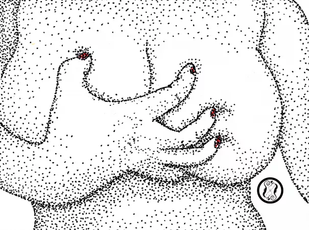 Ohhh Kitty Kat 1 by themadpisces