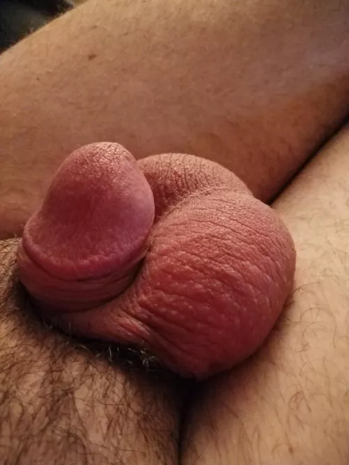 Ok, my little blossom. What do you think? [40] by barefootnaturist