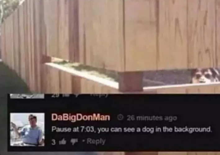 Old but still a good comment :) by Leo4005