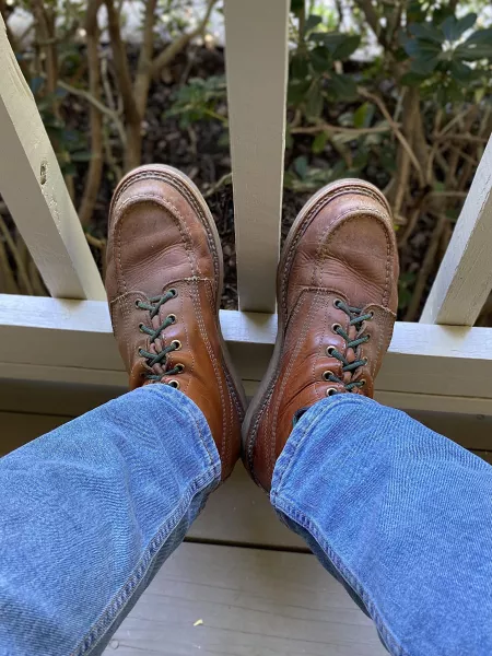 Old faithfuls by rogersalan