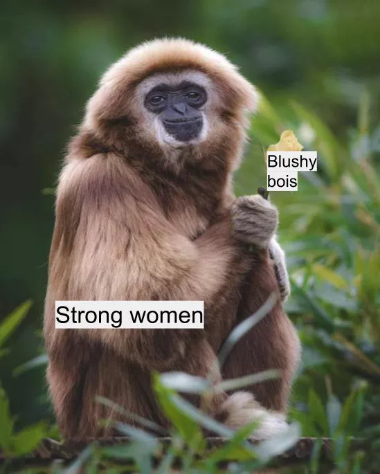 Old meme, different format. Still relevant. posted by myweirdsubaccount