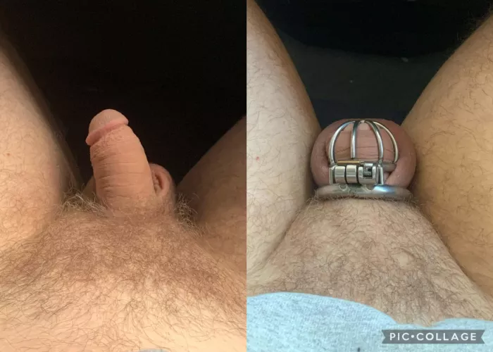 Old vs. New view. Which is better? by superinterested13