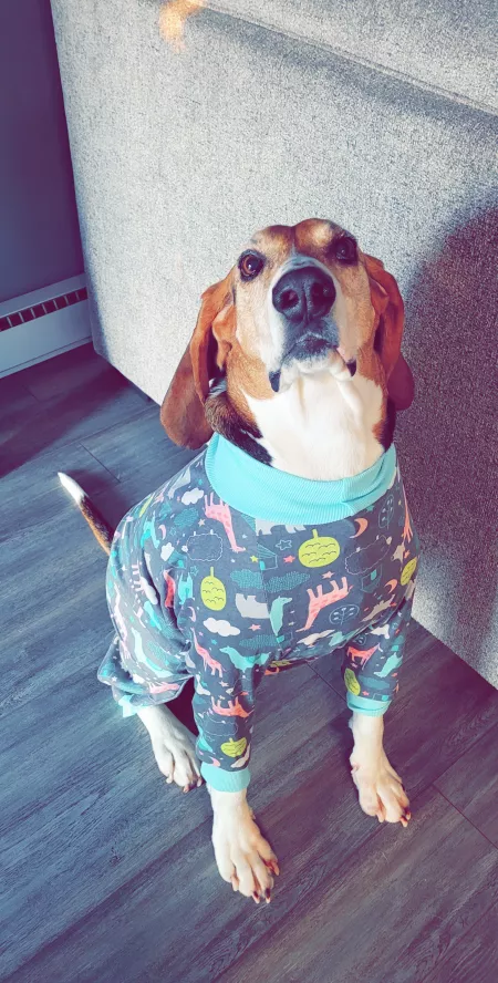 Ollie in his jammies by sthapNaow