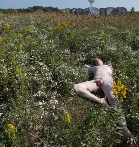 On a hill above town by Body-Centered-Cubic