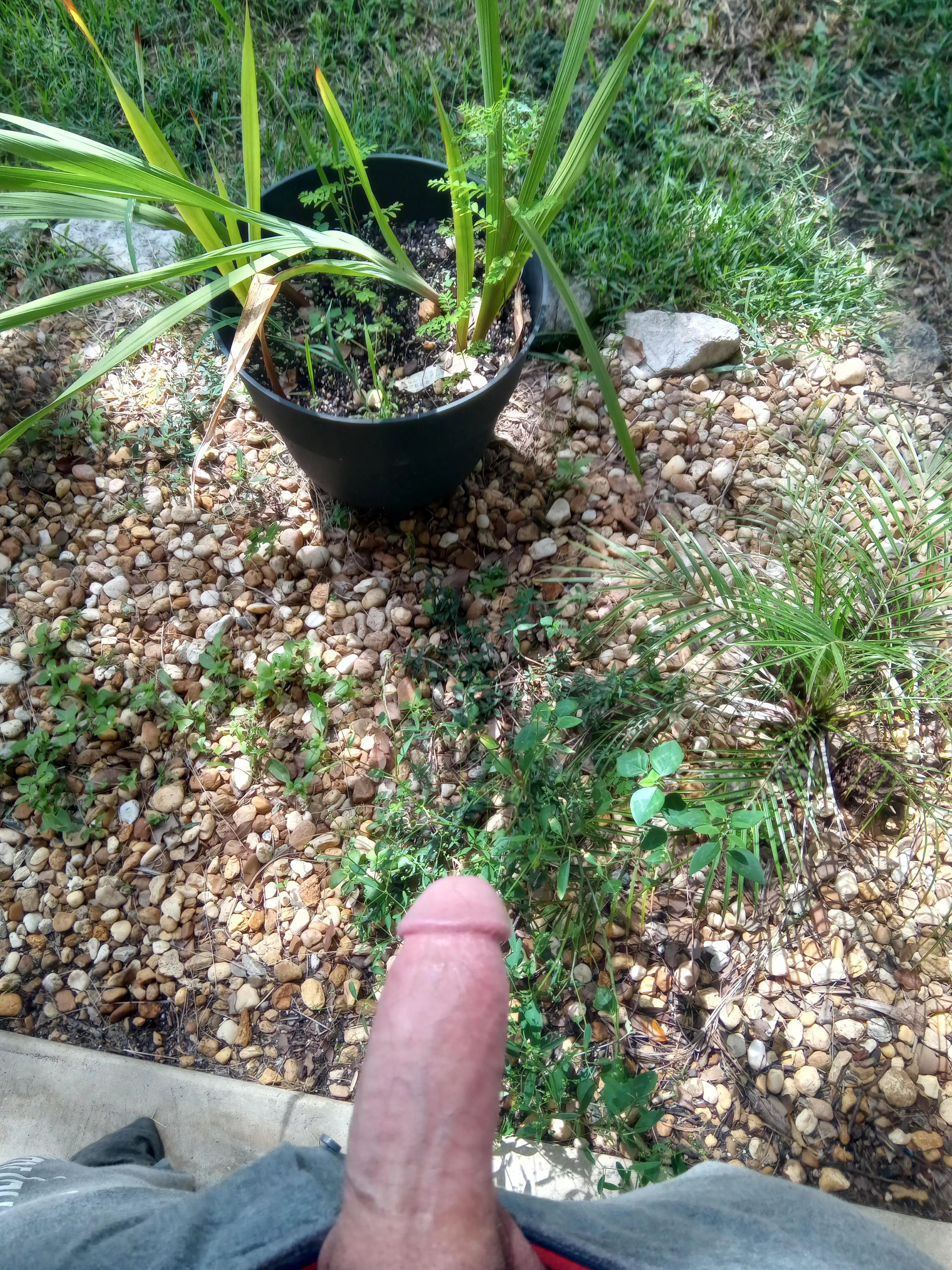 On a scale of one to ten, how would you rate my plants😉😉😉 posted by DownhillSlime69420