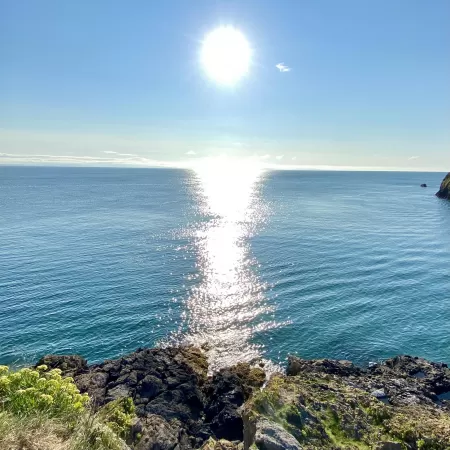 On sunny days I love my morning run. by libbieL