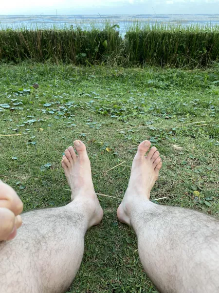 on the grass by the beach by bears-beards