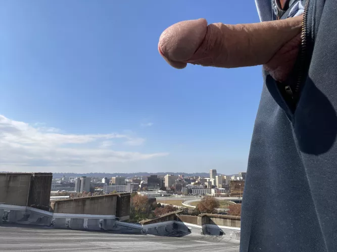 On the roof at work. by natureguy6917