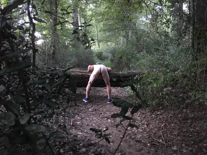 On the trail, hoping someone will come along and play by shaved1999