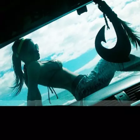 On the windshield by MrMorlonelycat