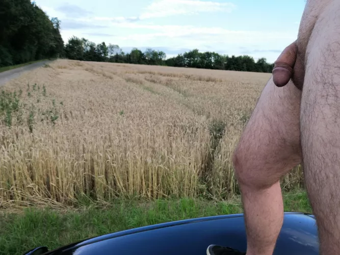 On Top of my car by the field. A lady walked by a few seconds after i took the pic... by Fantastic_Job9334