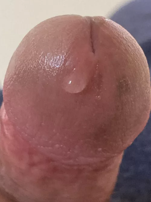 one drop :) by SilverCry663