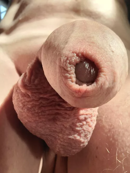 One eye staring at you from behind his hood. by nufc-fan86