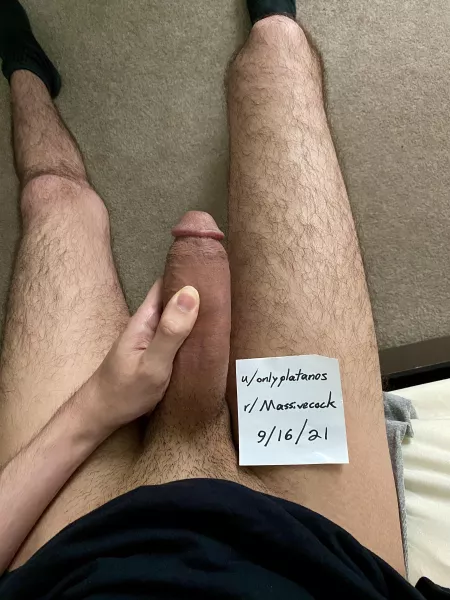 One horny verification pls by onlyplatanos