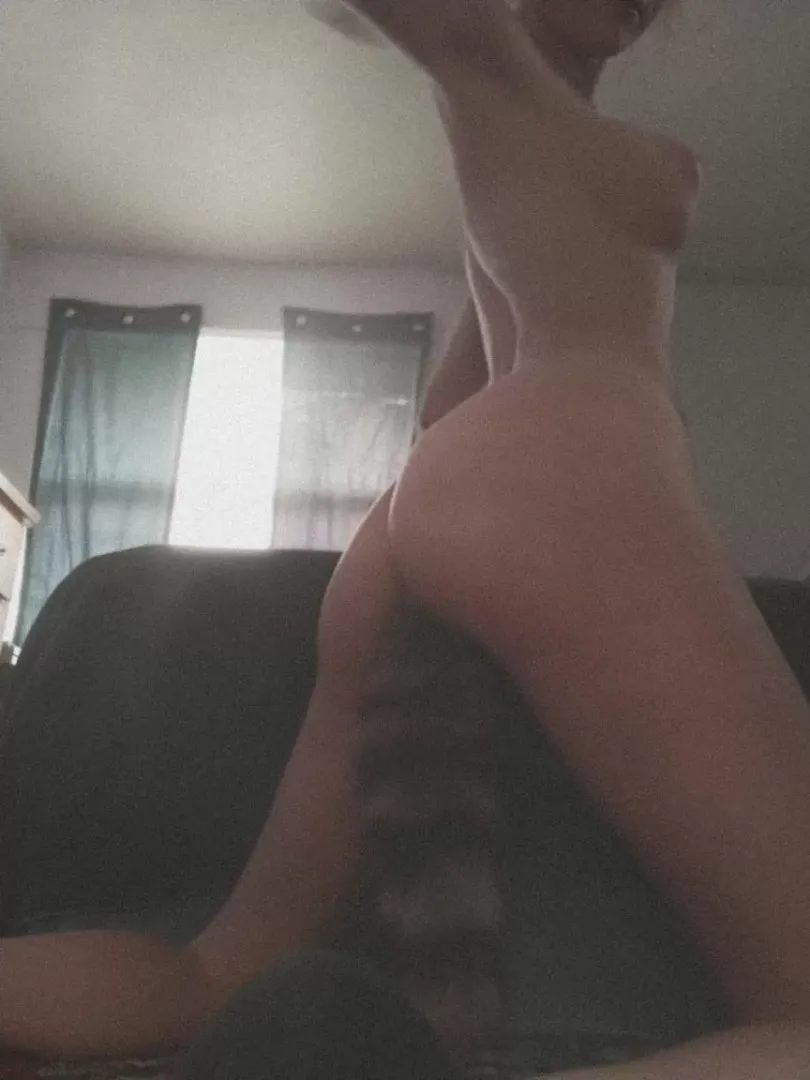 one of my favorite toys 🌸 posted by Traditional-Budget91