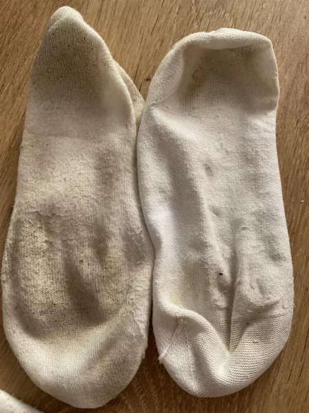 One outside view, and one inside view. Day 2, they got very sweaty today 😜 Love Mia x by Ok_Examination_26