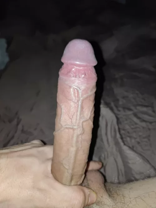 One tip before sleep. by Royal-Substance4585