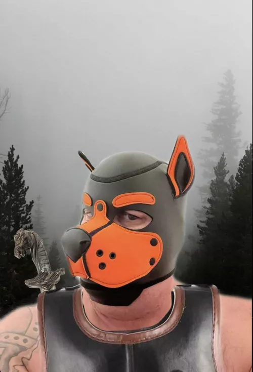 Only fans 1/2off promotion 🐶🧡 link is in comments by Pupzoink