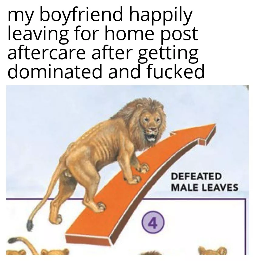 Only I'm allowed to defeat him posted by feathereddoggo