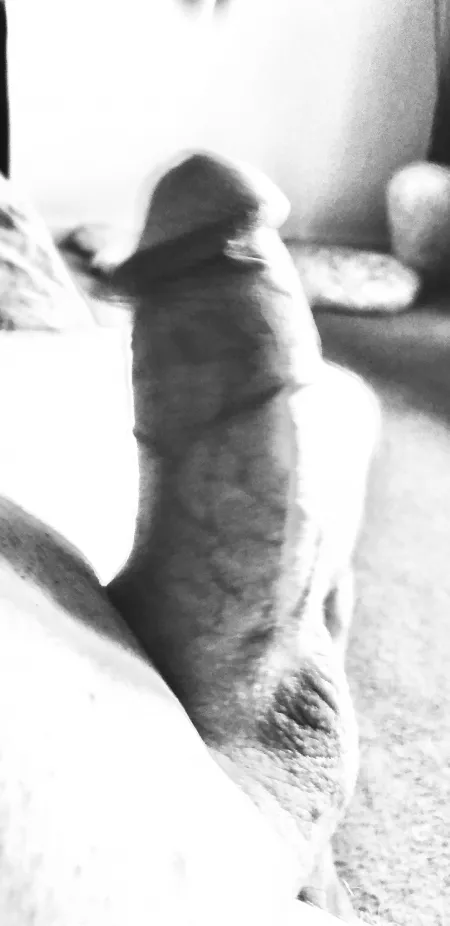 Only the shadow knows by tycoll13