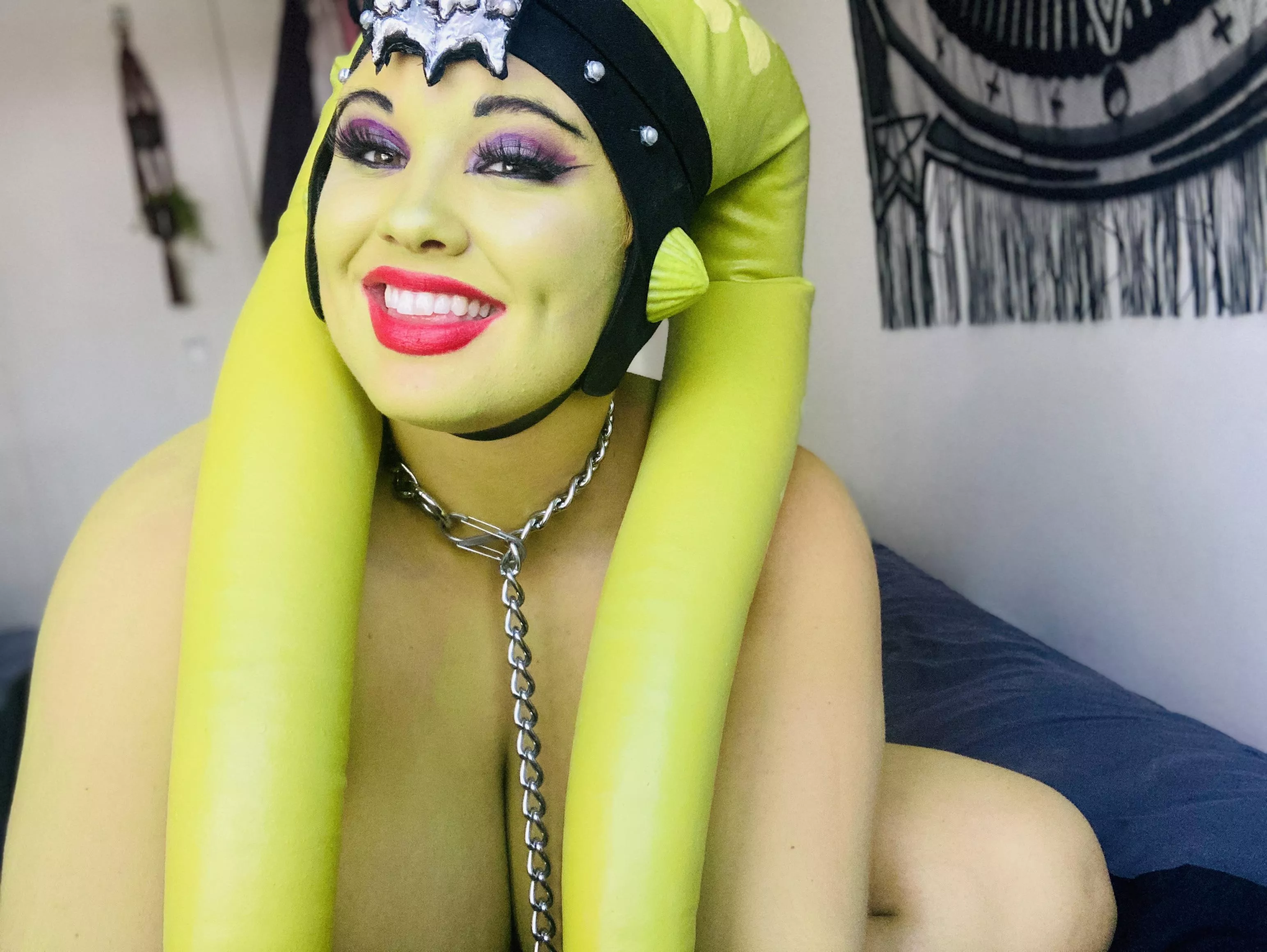 Oola pleased with herself (Peony Felicity) posted by peonyfelicity