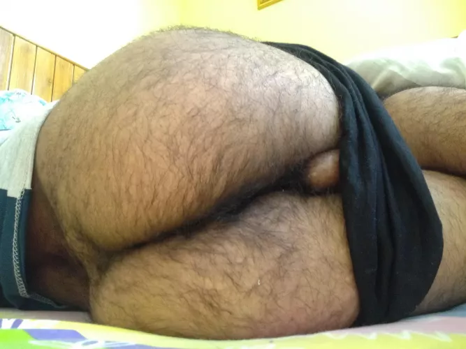 Oops. One of em says hi! by Faker_Baker_Curious