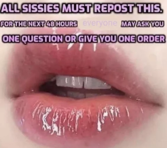 Open as always by hdt288