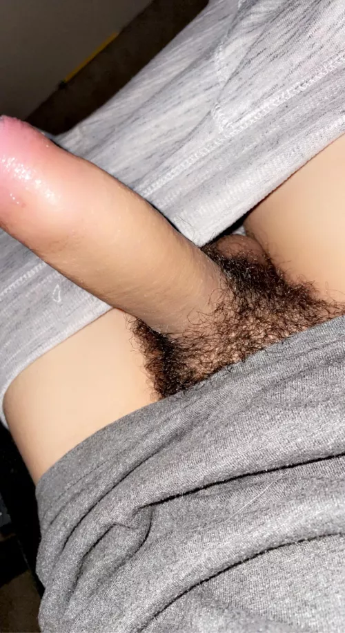 Opinions? by Sebrive