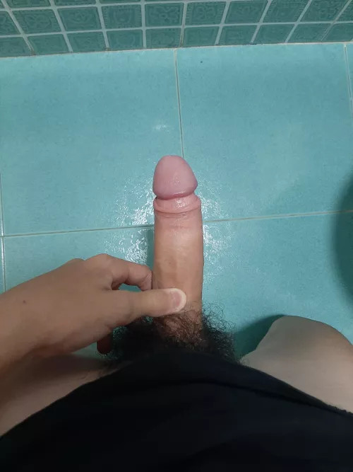 opinions by Kawinton_Banana_II