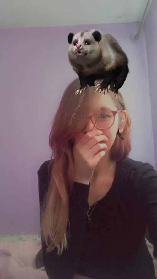 Opossum filter 💖 by i-ate-the-ether